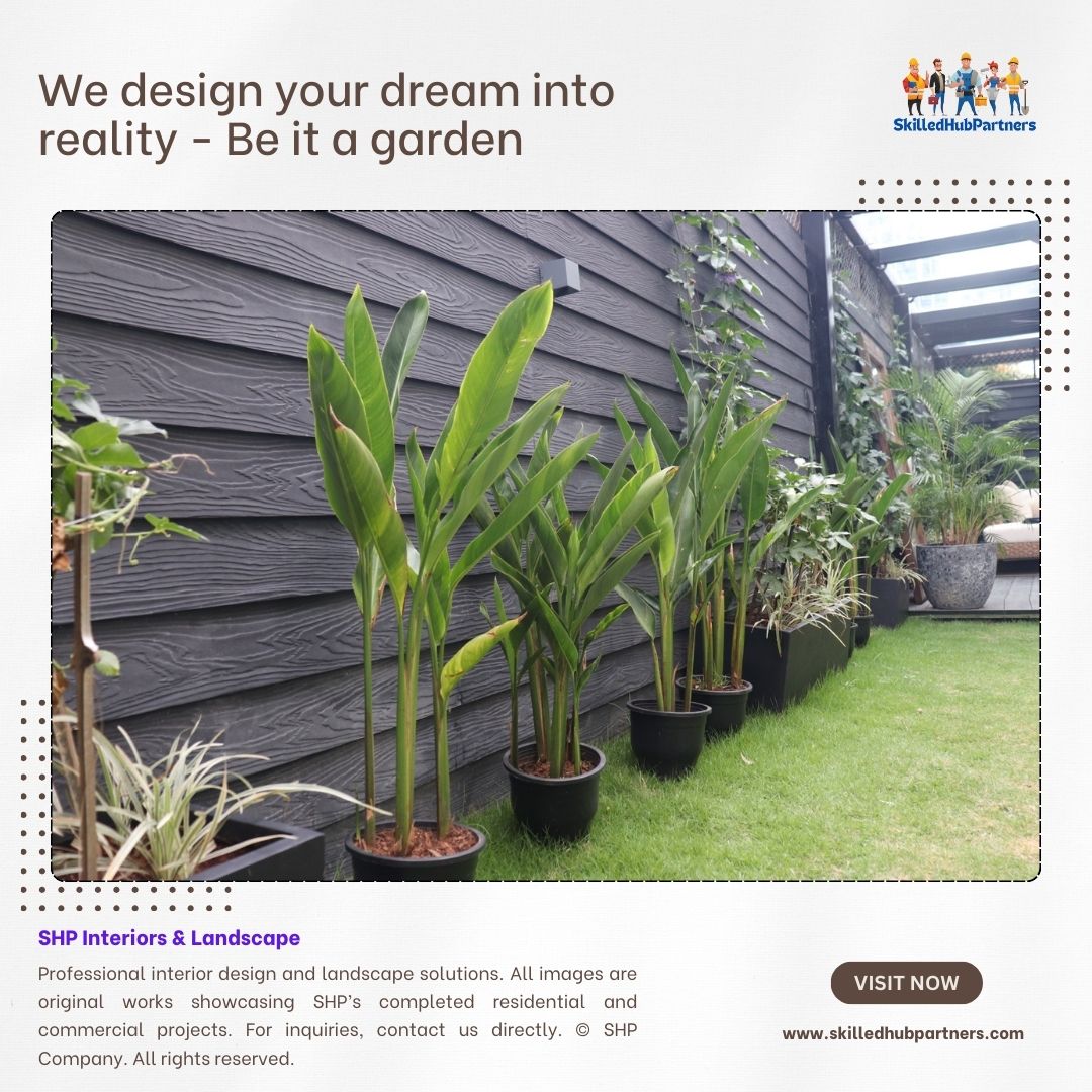 Plants & Pots